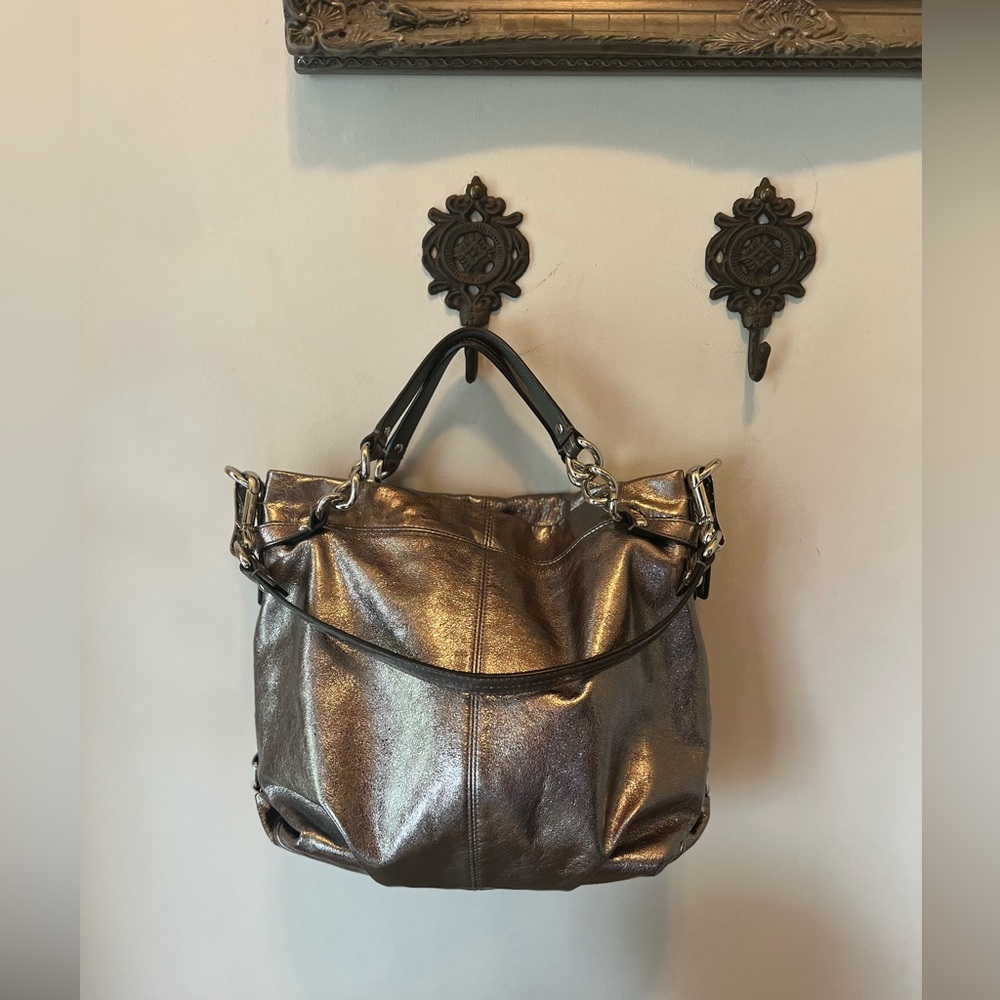 Coach Brooke Metallic Hobo Handbag